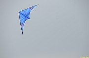 Parco San Giuliano  - 200